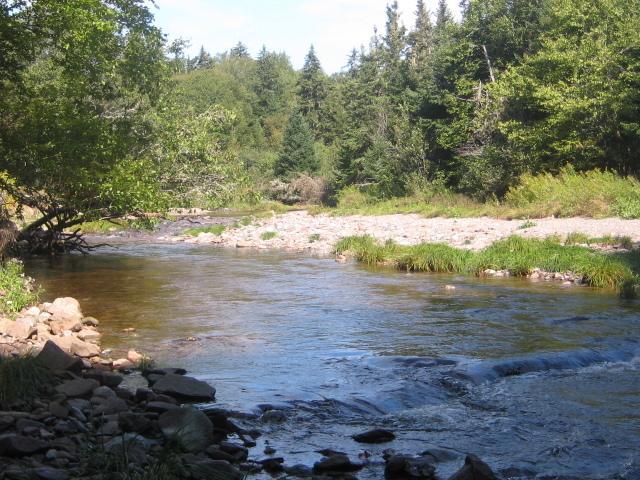 Moore'S Specialties Fundy Bay House Rental Gardner Creek Extérieur photo