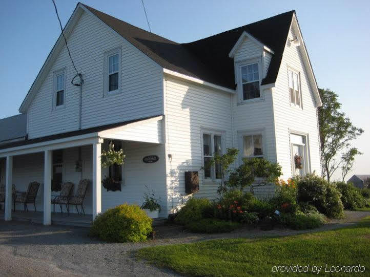 Moore'S Specialties Fundy Bay House Rental Gardner Creek Extérieur photo